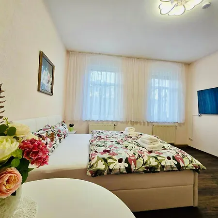 Apartment Urlaub-& Businesswohnung In 02 *